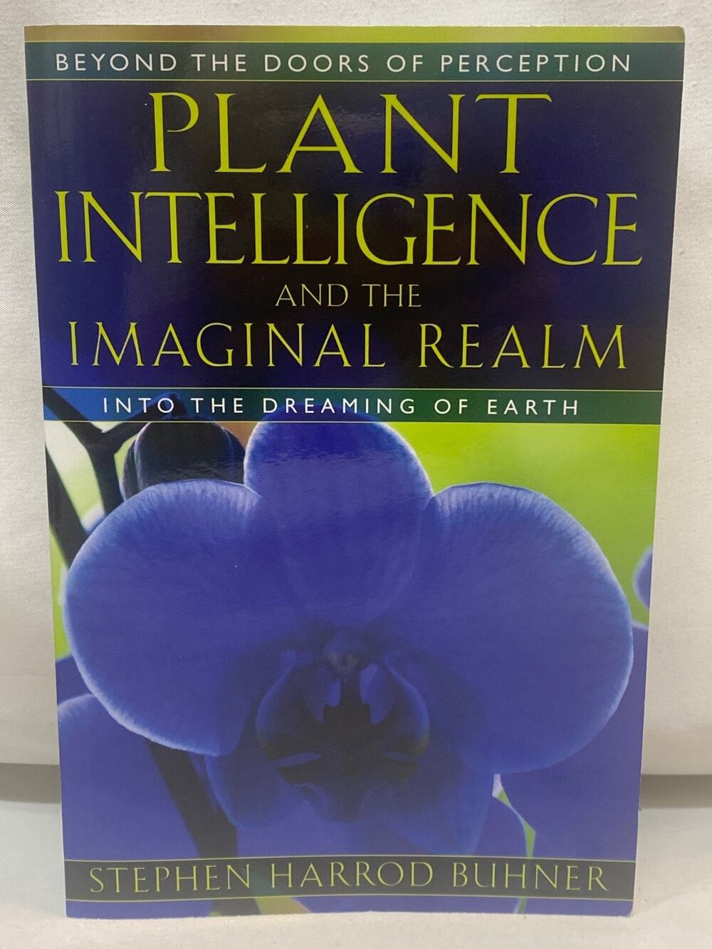 Plant Intelligence and the Imaginal Realm: Beyond the Doors of Perception in...